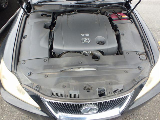 08.jpg