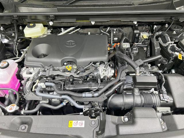 23715882_carP_l_16.jpg