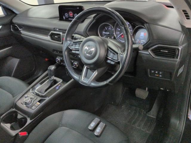 23201446_carP_l_15.jpg