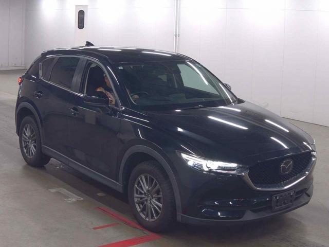 23201446_carP_l_1.jpg