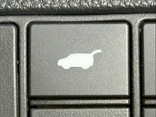 23238894_carP_l_2.jpg