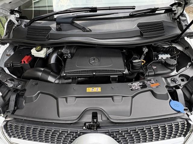 25117564_carP_l_17.jpg