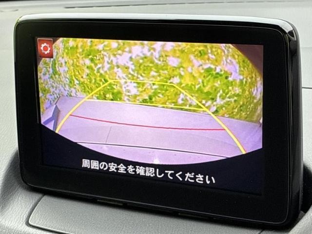 26307989_carP_l_6.jpg