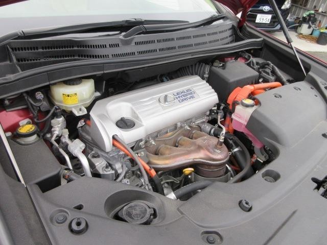 23629837_carP_l_5.jpg