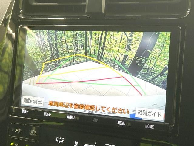 26751562_carP_l_4.jpg