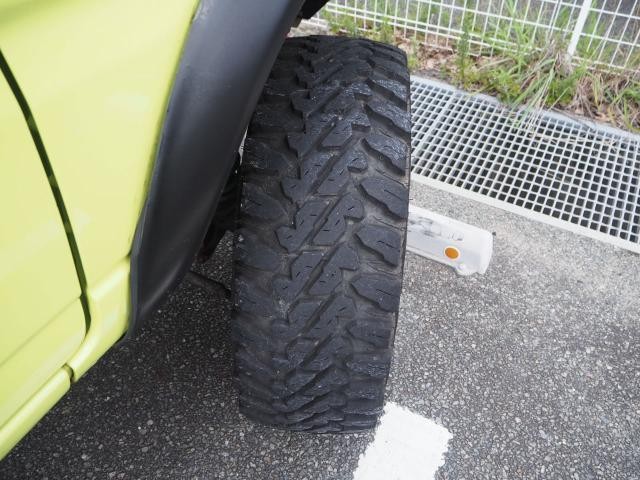 12307955_carP_l_16.jpg
