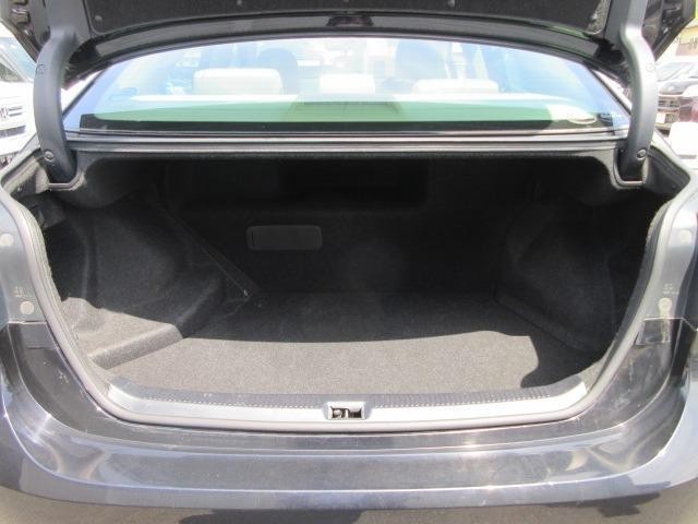 23353647_carP_l_17.jpg