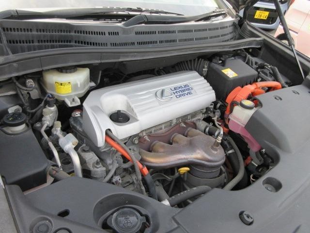 23353647_carP_l_5.jpg