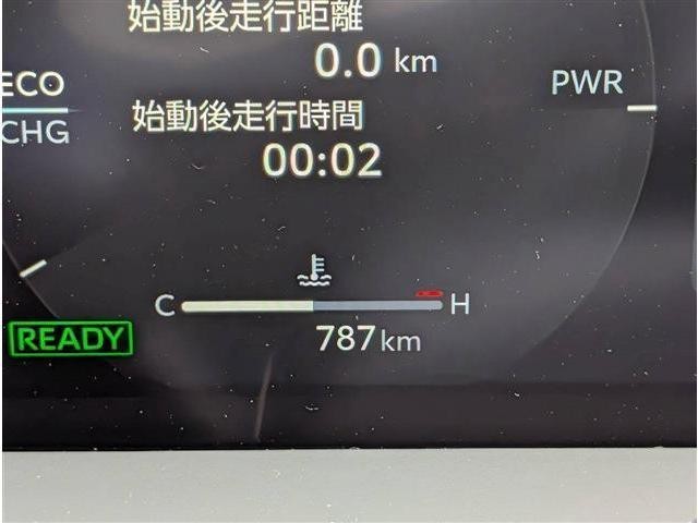 26799597_carP_l_20.jpg