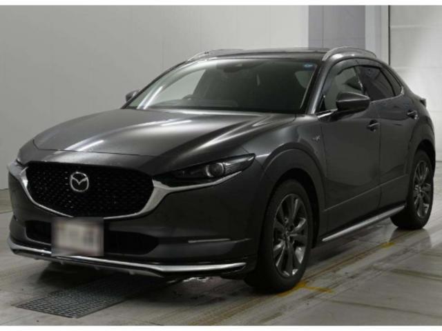 26844556_carP_l_1.jpg