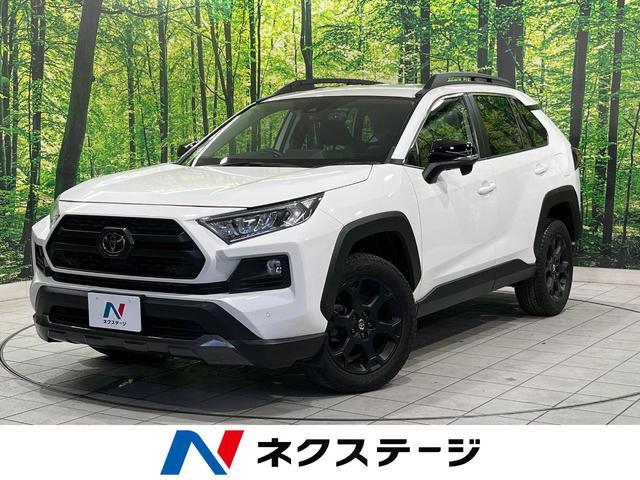 26084837_carP_l_1.jpg