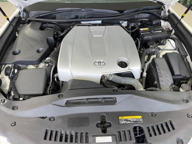 25262133_carP_l_18.jpg