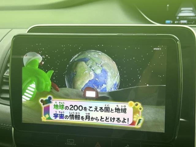 24495543_carP_l_7.jpg