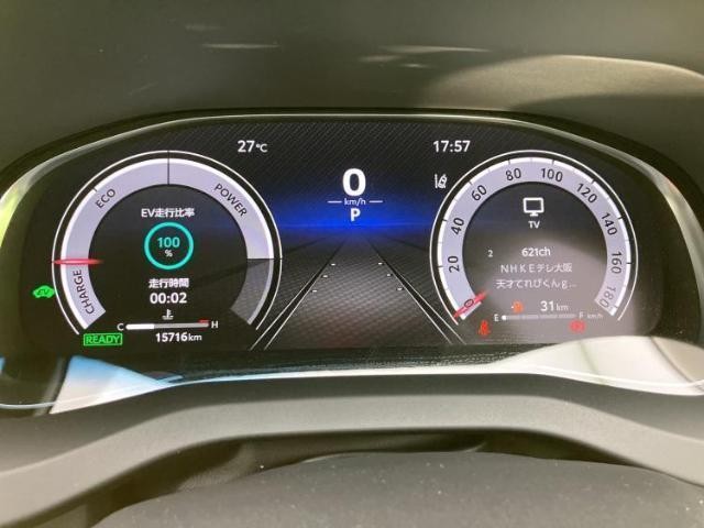 24495571_carP_l_8.jpg
