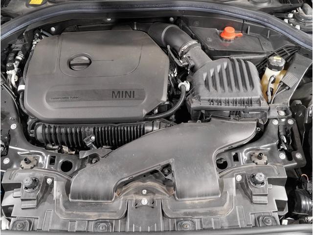 25843430_carP_l_14.jpg