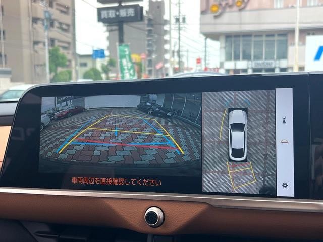 24520982_carP_l_13.jpg