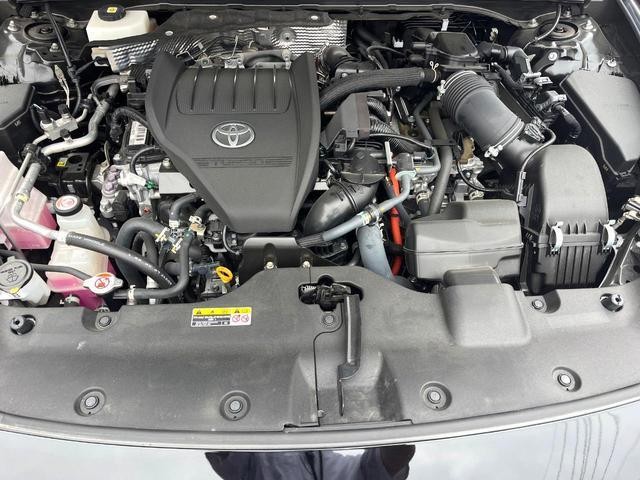 24520982_carP_l_16.jpg