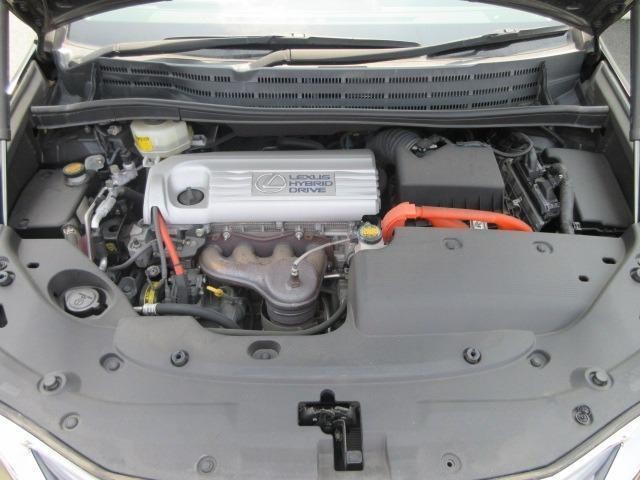26896948_carP_l_11.jpg