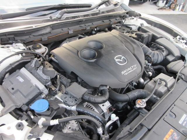 24335364_carP_l_5.jpg