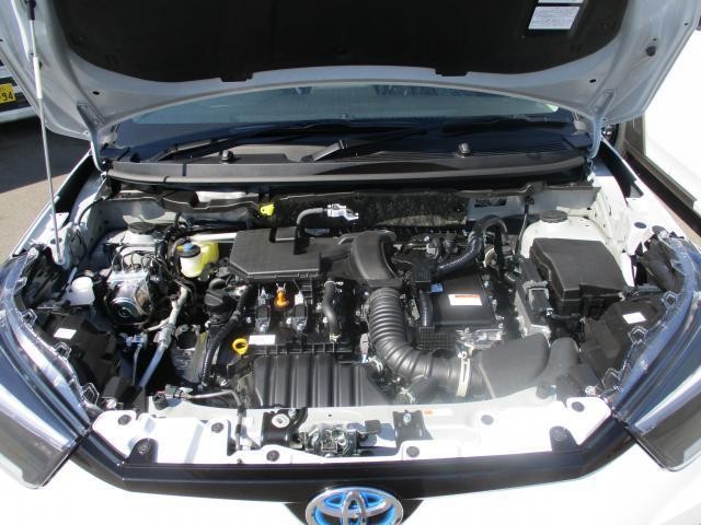 27032407_carP_l_17.jpg