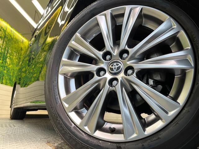 25035655_carP_l_6.jpg