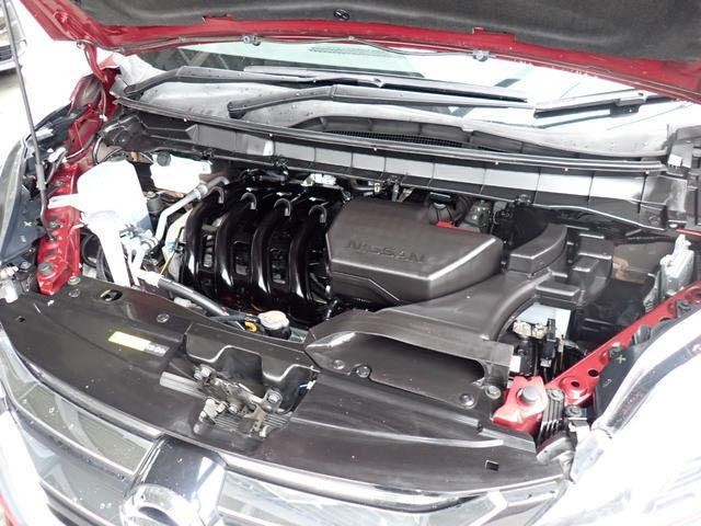 25226120_carP_l_19.jpg