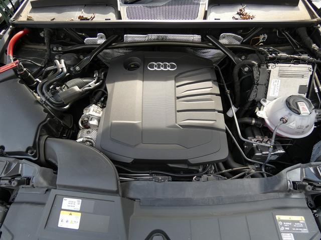 23965565_carP_l_6.jpg