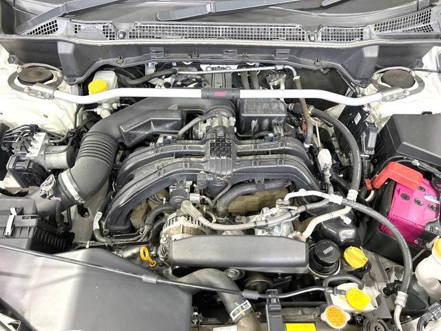 24481890_carP_l_18.jpg