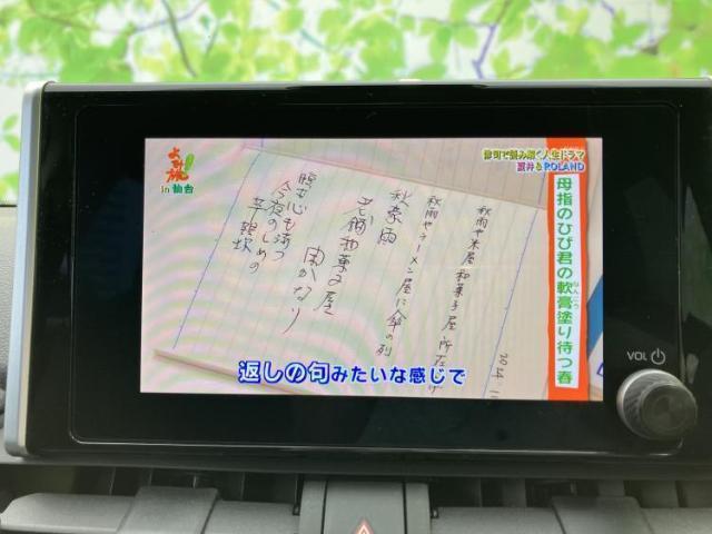 22812833_carP_l_6.jpg