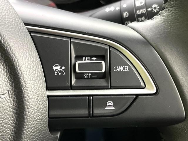 25241494_carP_l_10.jpg