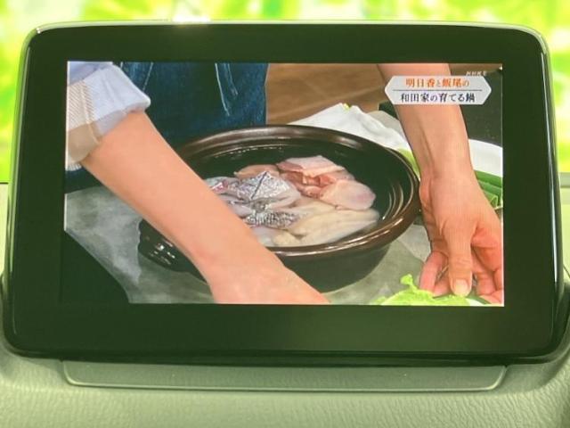 22519515_carP_l_6.jpg