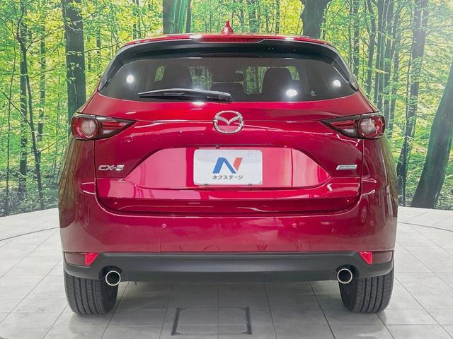 22956998_carP_l_9.jpg