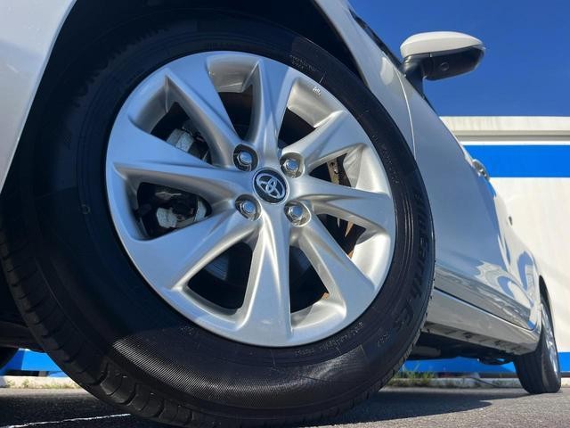 24932541_carP_l_7.jpg