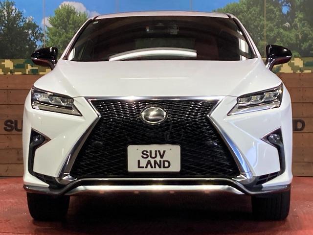 23965752_carP_l_8.jpg