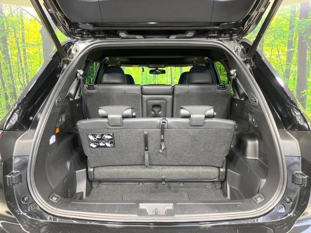25055913_carP_l_5.jpg