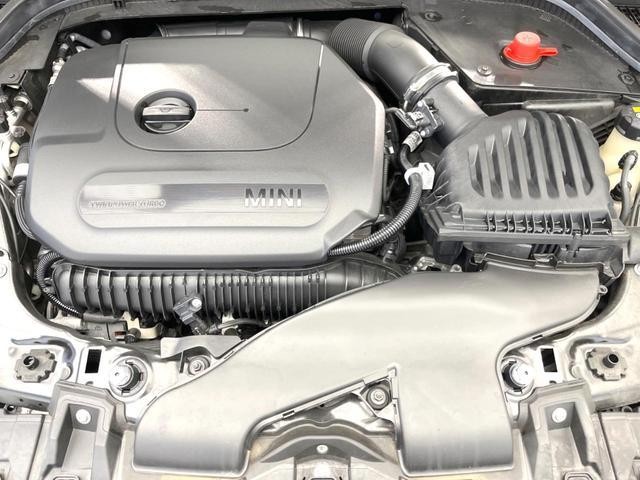 26063411_carP_l_20.jpg