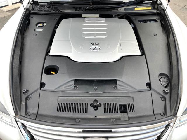 22242598_carP_l_18.jpg