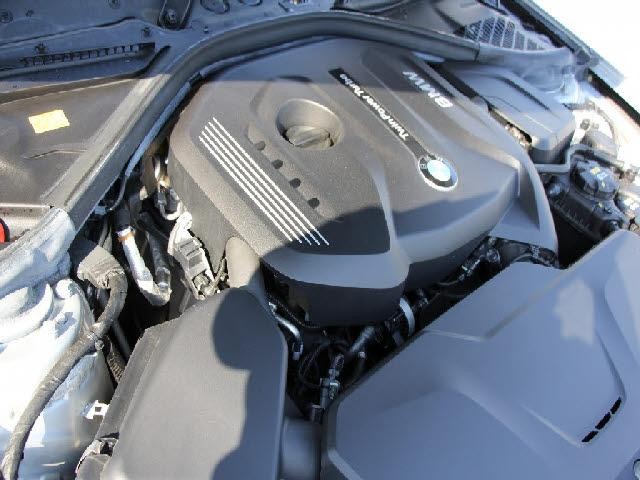 25076630_carP_l_4.jpg