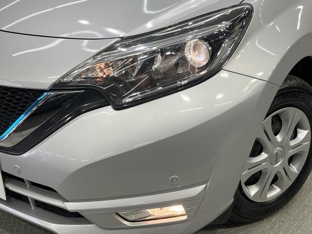 24541742_carP_l_6.jpg