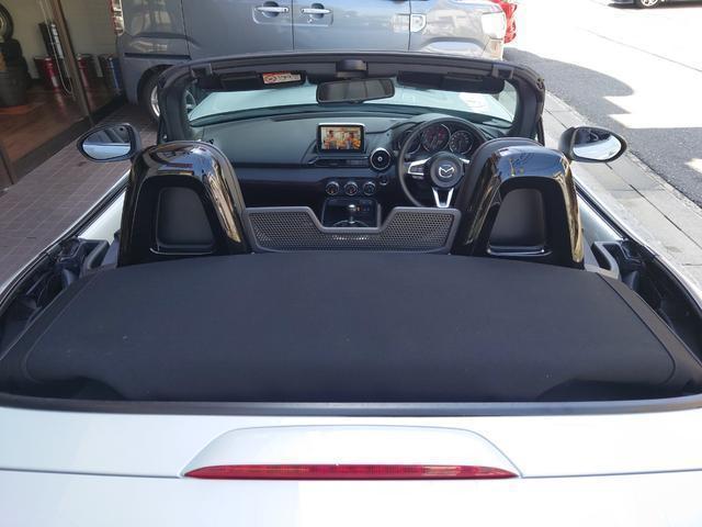 12794127_carP_l_6.jpg