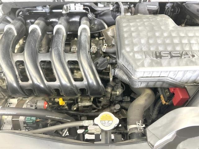 26557650_carP_l_16.jpg