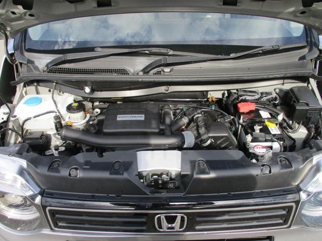25769407_carP_l_20.jpg