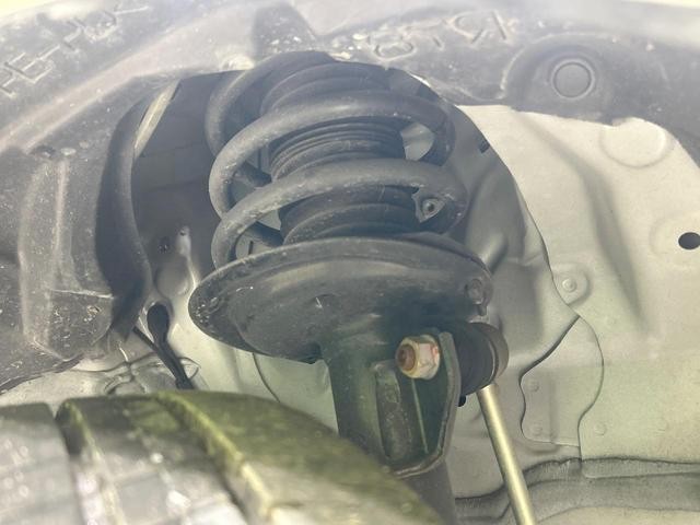 25179382_carP_l_20.jpg