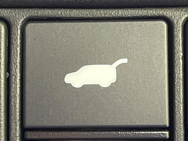 25571852_carP_l_13.jpg
