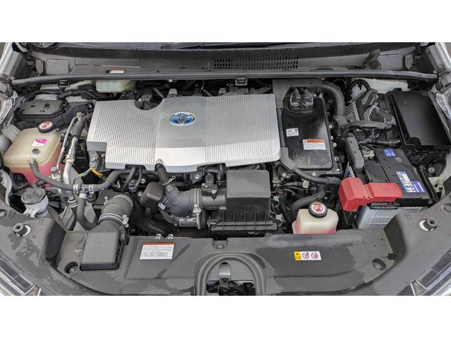 1020284A30260125W00118.jpg