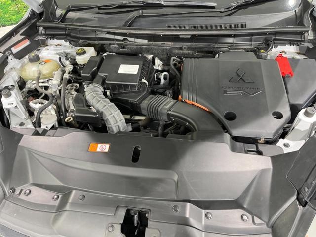 24953216_carP_l_18.jpg