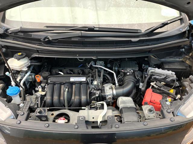 23808389_carP_l_16.jpg