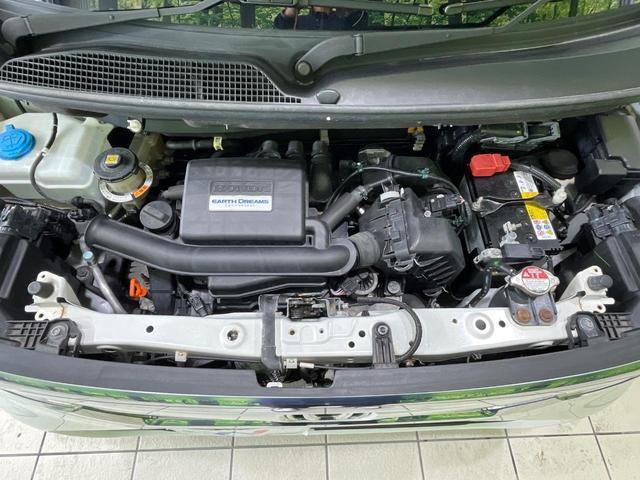23054974_carP_l_16.jpg