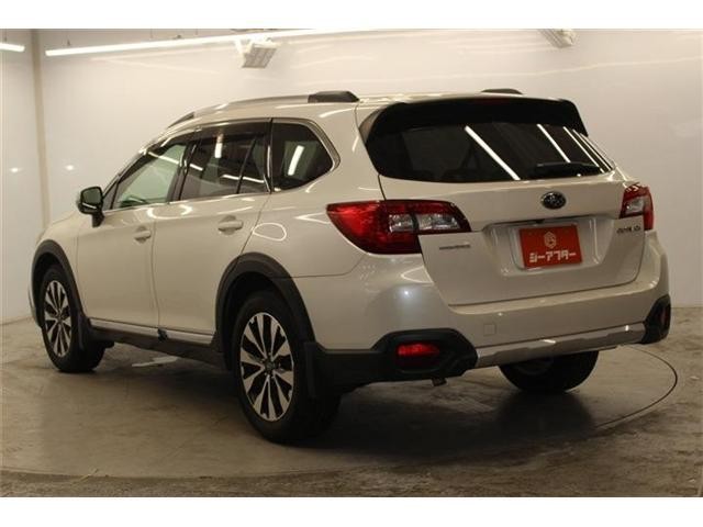 25235185_carP_l_14.jpg