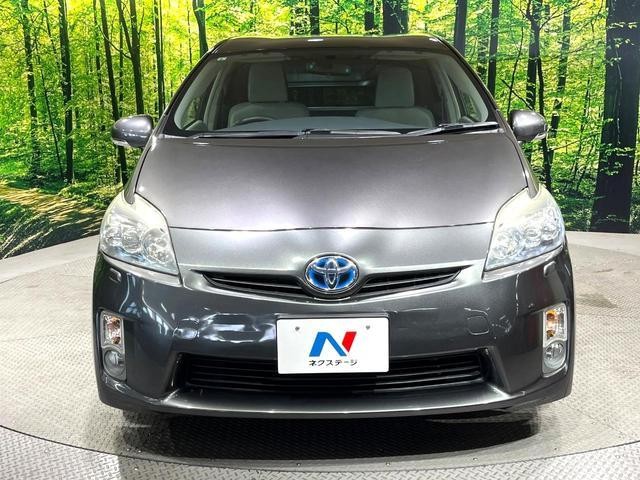 26063576_carP_l_8.jpg